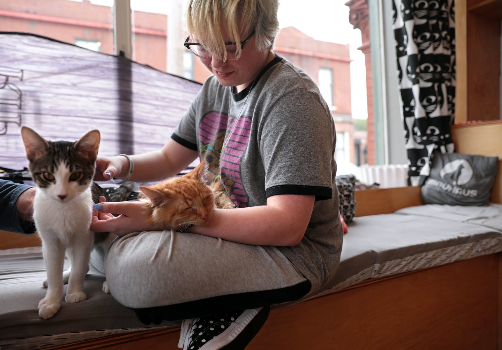 Mauhaus Cat Cafe and Lounge